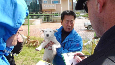 A Korean dog trainer shows off a Jindo dog as Los Angeles Police Department canine officer Jeff Miller takes notes.