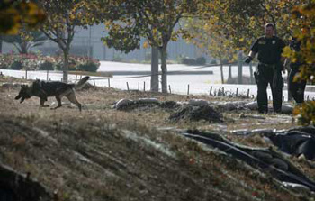 A Riverside K-9 officer searches a field on the east side of Market Street near Fairmount Park near where a Riverside police officer was shot Sunday night. Police say the officer was shot as he chased a man driving a stolen big-rig cab who was fleeing the scene of a hit-and-run accident. 