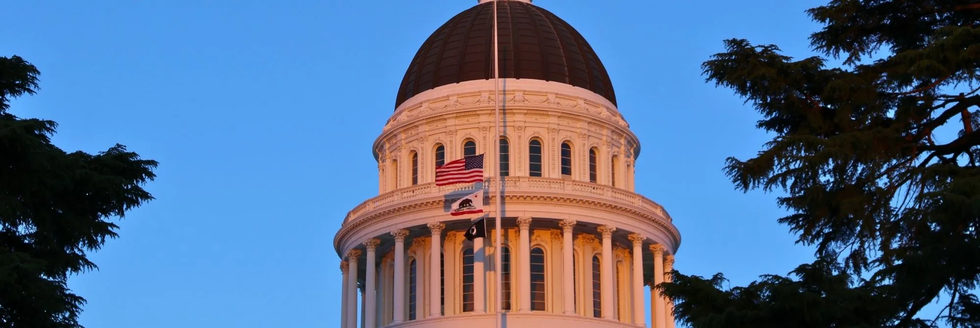 Government Resources Header