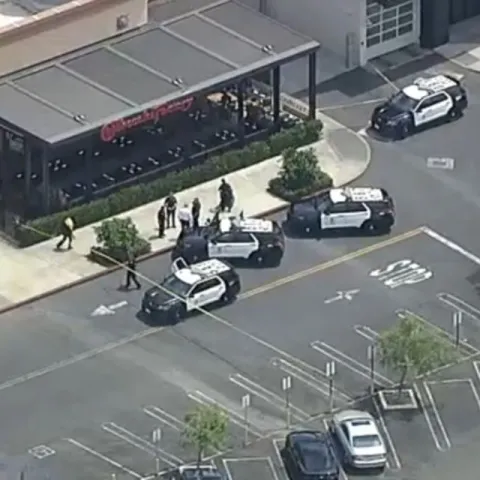 Man armed with AR-15 style rifle stabs woman with child outside Westfield Topanga Mall, LAPD says
