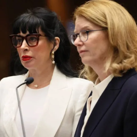 Weezer bassist's wife to enter mental health program after allegedly firing weapon at LAPD officers