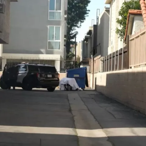 ff