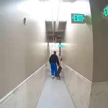 Police arrest man seen on video hitting dog with metal chain inside DTLA apartment building