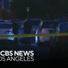 Police investigate South Los Angeles "shoot-out style" death