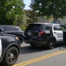 Domestic violence suspect crashes into LAPD car while running away from police